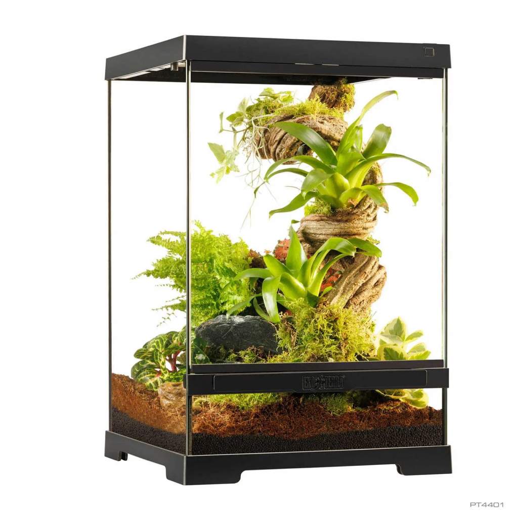 Pro Terrarium